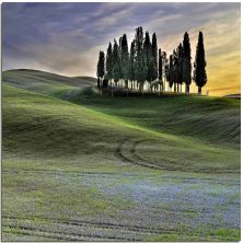 tuscan sinuosity.jpg